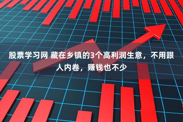 股票学习网 藏在乡镇的3个高利润生意，不用跟人内卷，赚钱也不少