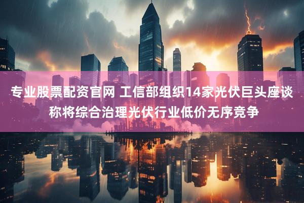 专业股票配资官网 工信部组织14家光伏巨头座谈 称将综合治理光伏行业低价无序竞争