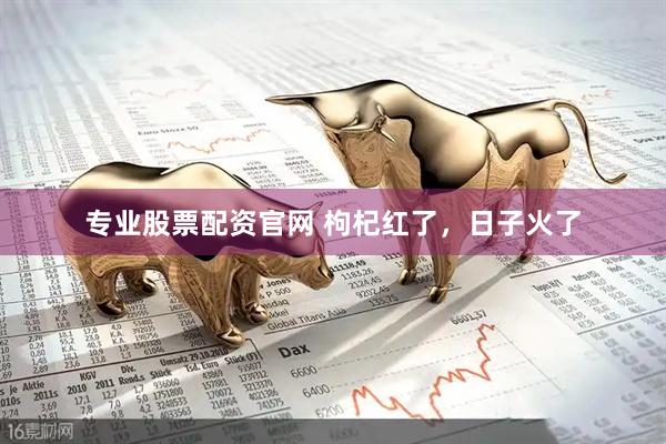 专业股票配资官网 枸杞红了，日子火了