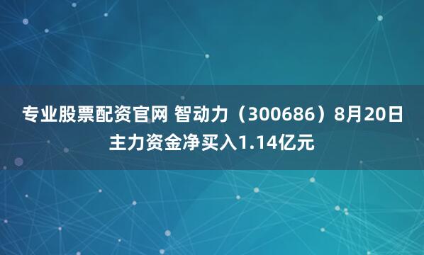 专业股票配资官网 智动力（300686）8月20日主力资金净买入1.14亿元